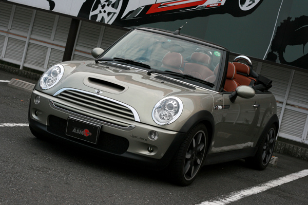 913 MINI sidewalk sre IMG_0017.jpg